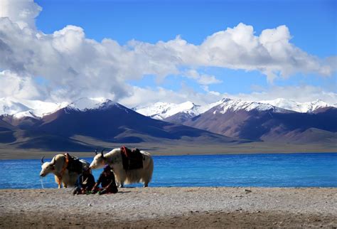 拉薩羊湖在哪裏：深度解析其地理位置及特色